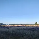 5 Person In Hovborg-by Traum Feriehus *