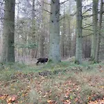 5 Person In Hovborg-by Traum Feriehus Hovborg