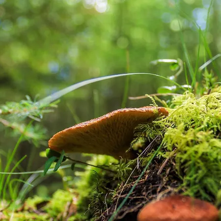 5 Person In Hovborg-by Traum Holiday home *