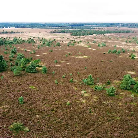 Feriehus 5 Person In Hovborg-by Traum *