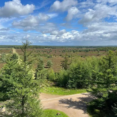 5 Person In Hovborg-by Traum *