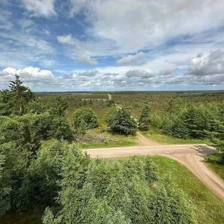 5 Person In Hovborg-by Traum * Hovborg