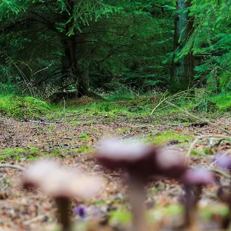 5 Person In Hovborg-by Traum Hovborg