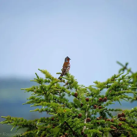 Feriehus 5 Person In Hovborg-by Traum