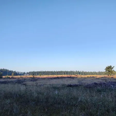 5 Person In Hovborg-by Traum Feriehus *