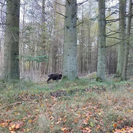 5 Person In Hovborg-by Traum Feriehus Hovborg