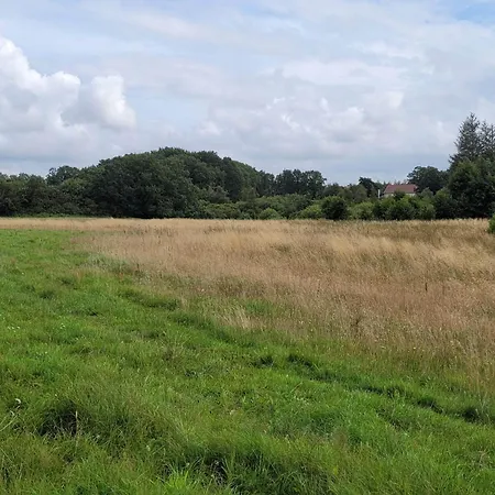 Feriehus 5 Person In Hovborg-by Traum Hovborg