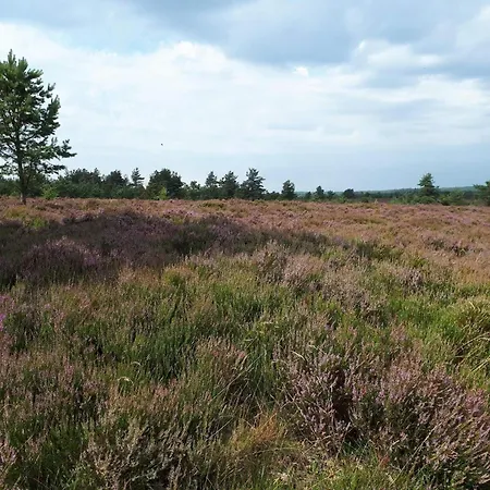 Holiday home 5 Person In Hovborg-by Traum