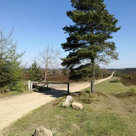 5 Person In Hovborg-by Traum Hovborg