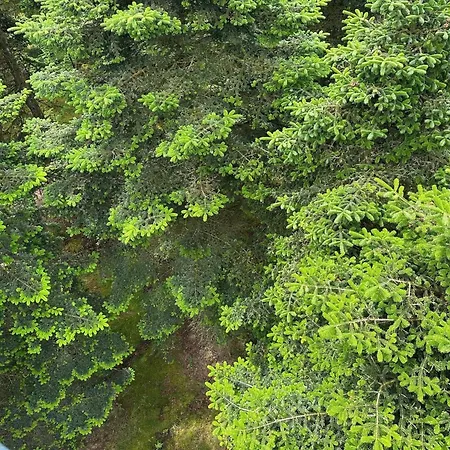 5 Person In Hovborg-by Traum Feriehus Hovborg